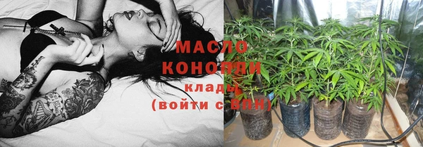 гидра Нестеровская